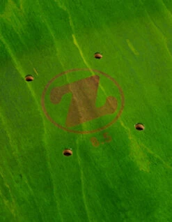 Maharishi 9498 MILTYPE Skate Deck · 100% USA Hard Rock Maple Orange 8 Maharishi 9498 MILTYPE Skate Deck · 100% USA Hard Rock Maple Orange -Maharishi 9498 miltype skate deck orange 40