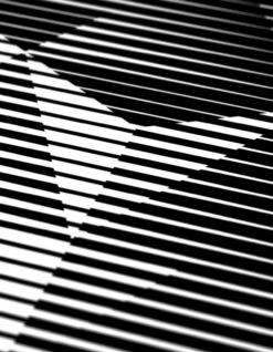 Myoshka Merkaba Monochrome Print 9 Myoshka Merkaba Monochrome Print -Maharishi merkaba detail 51